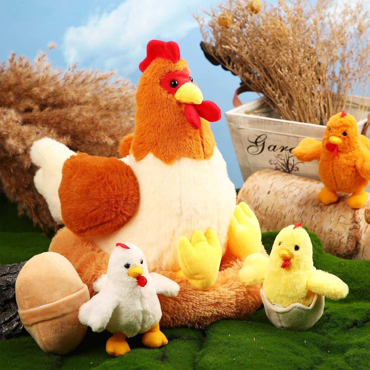 Chicken